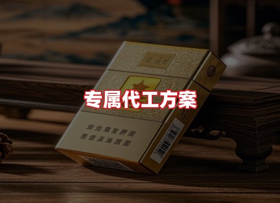 专业团队